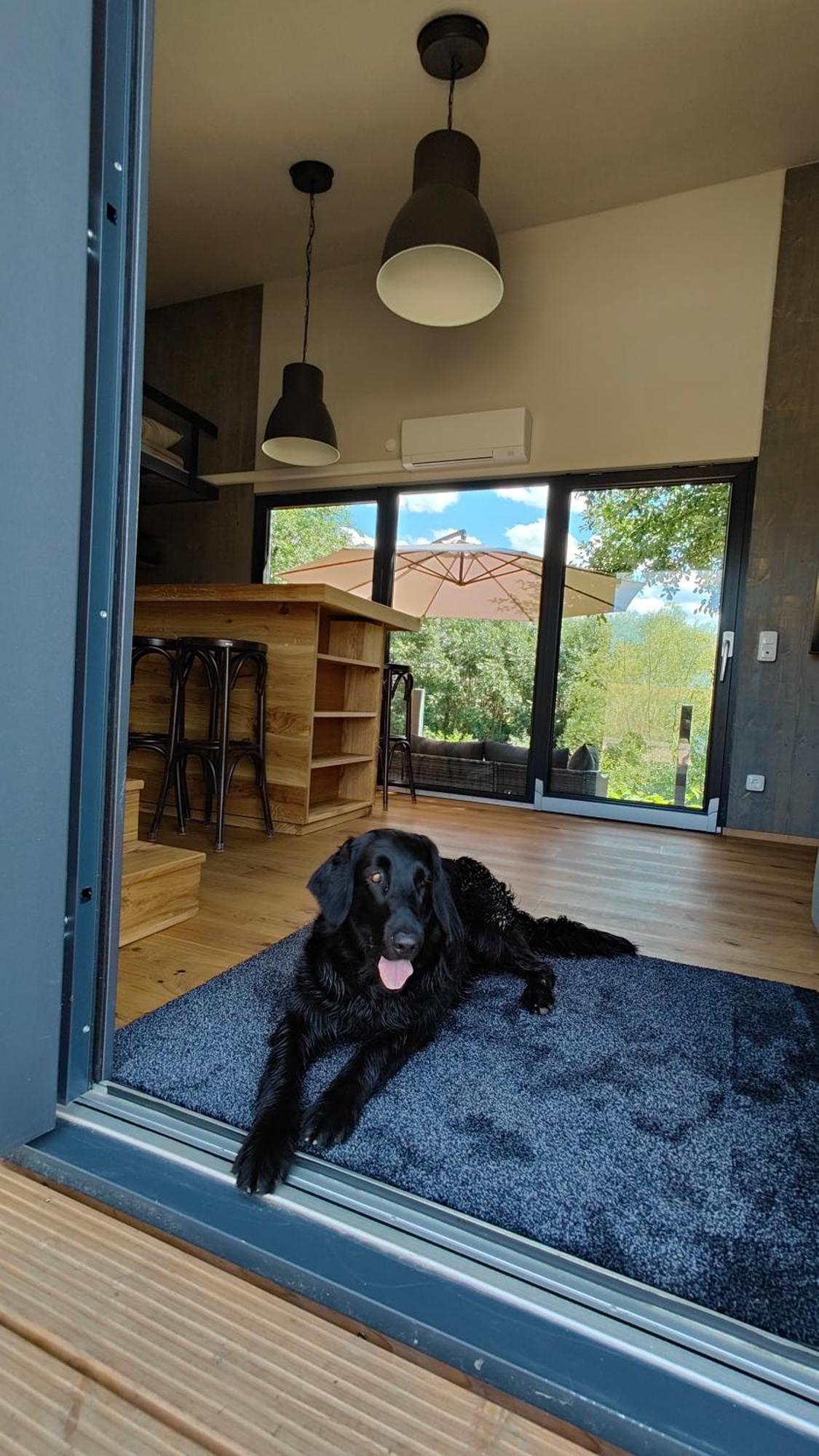 Großharthau Tinyhousebeidresden 3 Fuer 2 - 7 Personen, Naehe Saechsische Schweiz, Dresden, Mit Badeteich 빌라 외부 사진