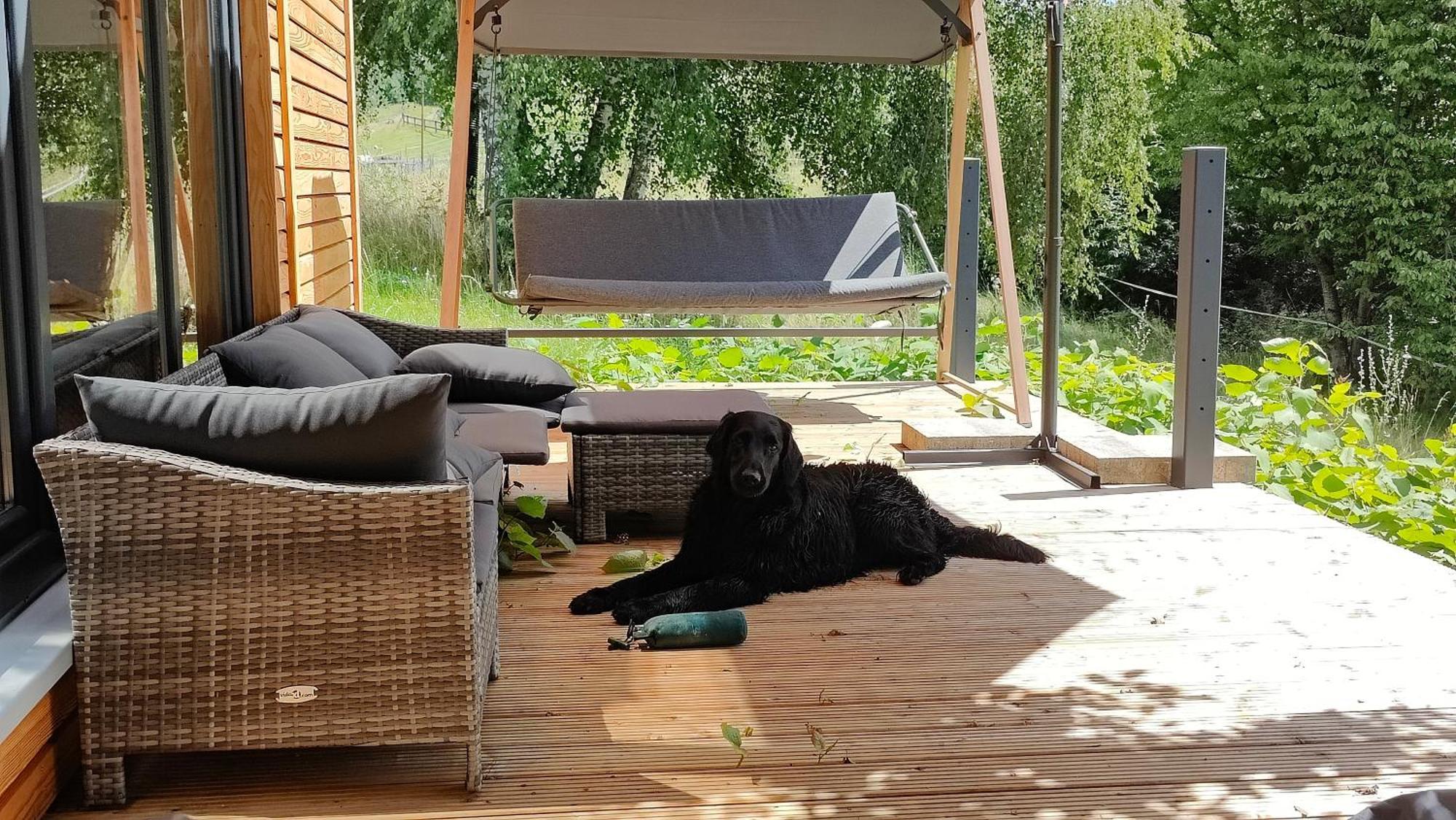Großharthau Tinyhousebeidresden 3 Fuer 2 - 7 Personen, Naehe Saechsische Schweiz, Dresden, Mit Badeteich 빌라 외부 사진